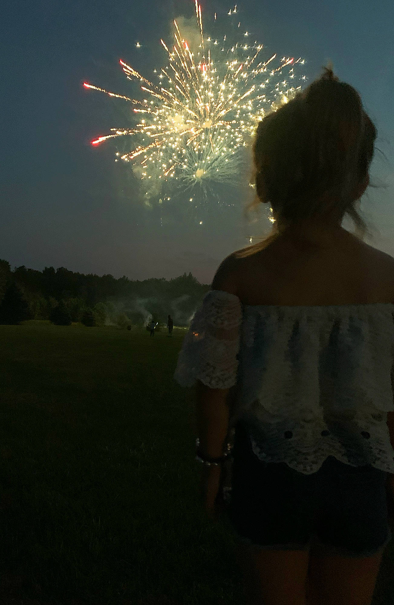 Lucille joined the competition — help win amazing prizes! atmospheric_phenomenon, darkness, diwali, event, festival, fireworks, flash_photography, fun, grass, happy, holiday, horizon, human_leg, midnight, new_year, new_years_day, new_years_eve, person, recreation, shorts