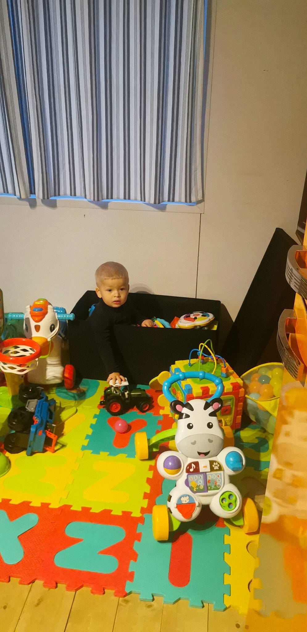 Ezio participe au concours pour gagner de l'argent avec cette photo : action_figure, baby_toys, curtain, event, fictional_character, figurine, flooring, fun, games, linens, orange, person, plastic, play, plush, room, stuffed_toy, sweetness, t_shirt, toy