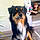 Arko