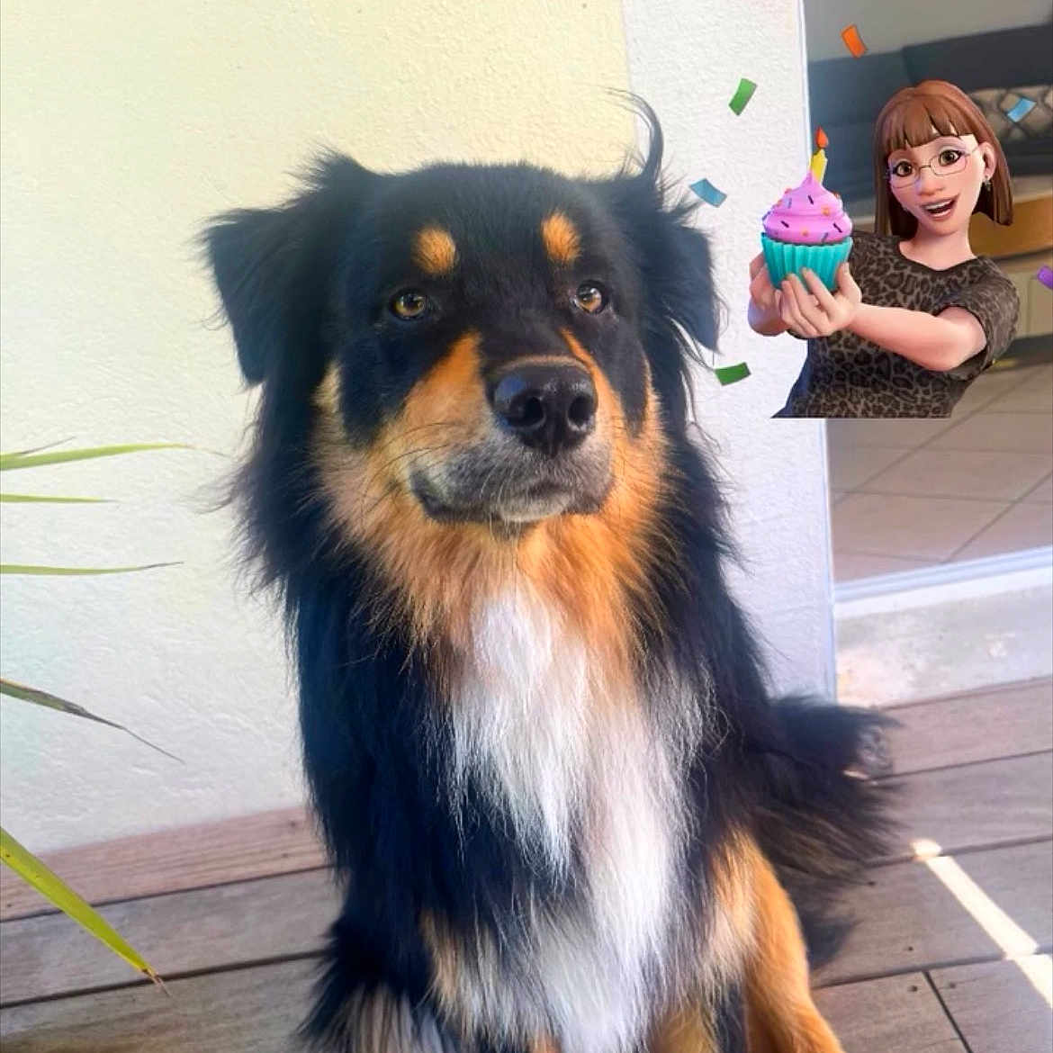 Arko