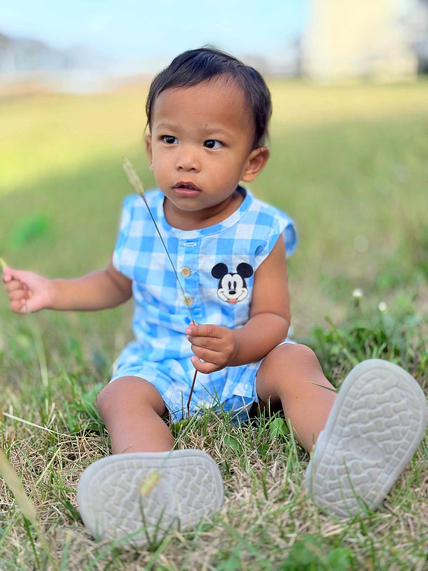 Zane is registered to the contest to win money with this photo: child, toddler, outdoor, grass, blue_clothing, mickey_mouse, sitting, nature, person, cute, summer, shoes, playing, daylight, casual, young_child, leaf, holding, curious, greenery