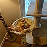 cat, orange_tabby, sleeping, cat_tree, hammock, lamp, window, snow, indoor, wood_floor, cozy, pet, fur, relaxed, home, furniture, resting, cute, animal, domestic