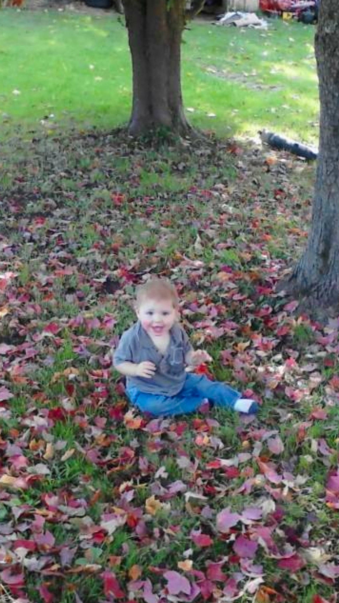 Owen is registered to the contest to win money with this photo: baby, baby_toddler_clothing, botany, deciduous, flowering_plant, garden, grass, green, groundcover, joy, leaf, natural_landscape, people_in_nature, person, plant, smile, terrestrial_plant, toddler, tree, trunk