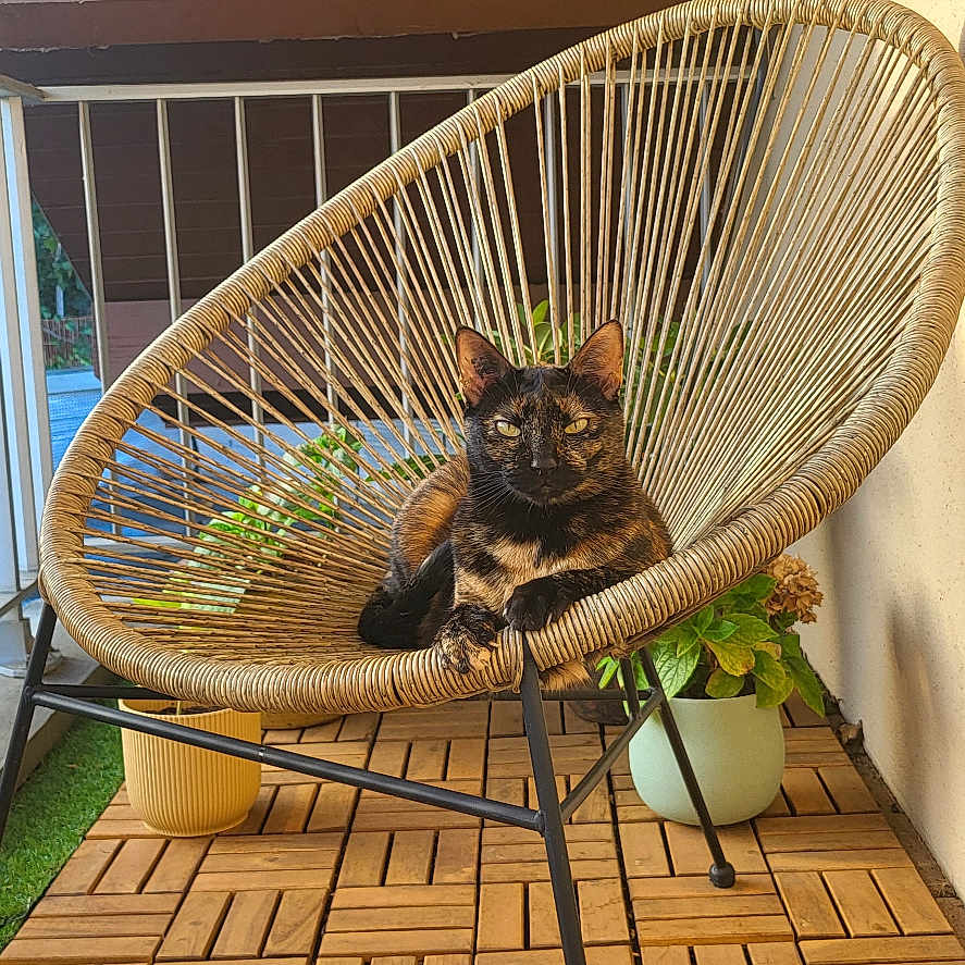 Poupette