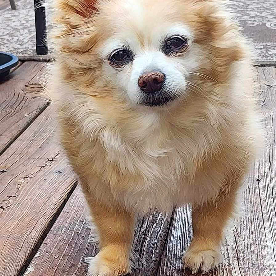 Zoey