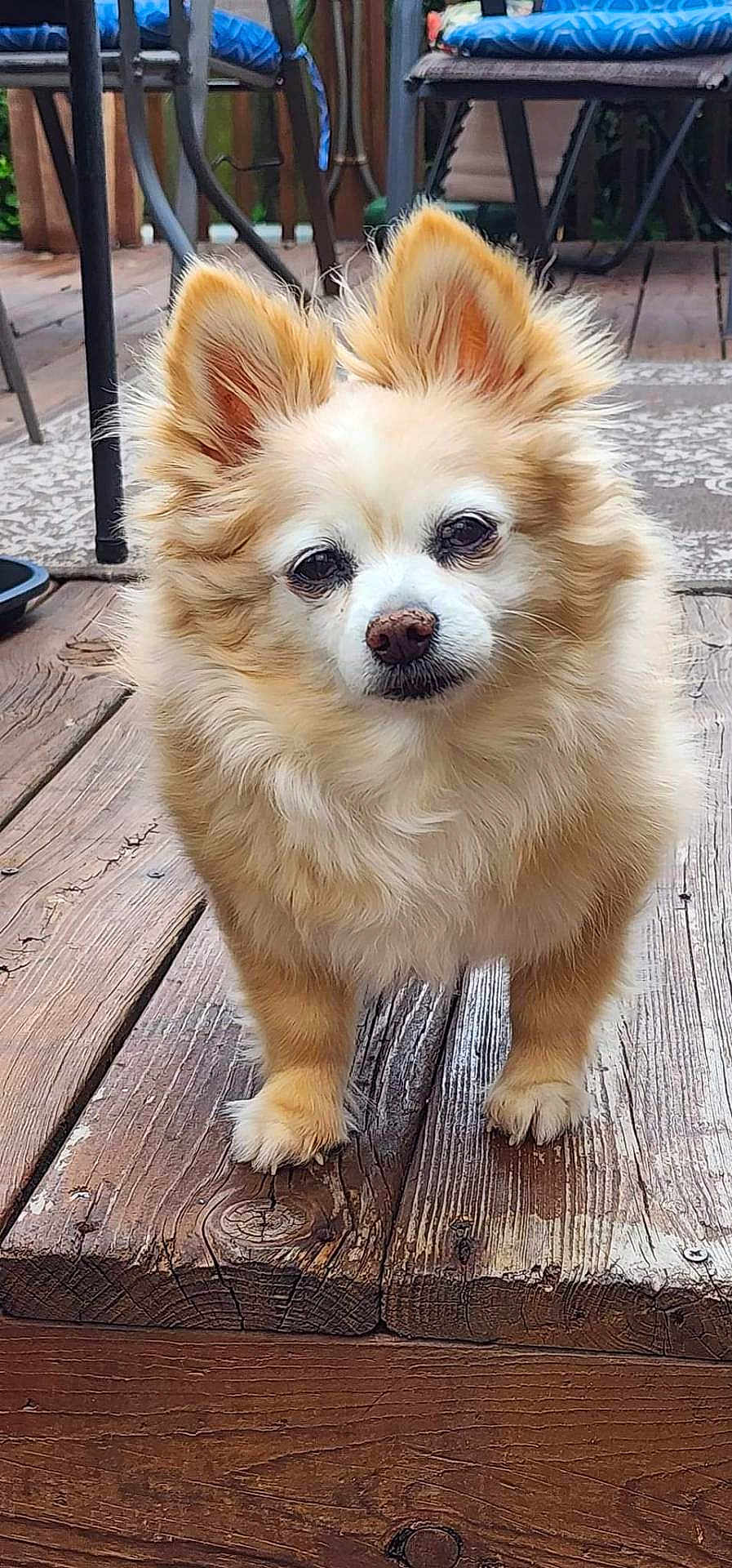 Zoey