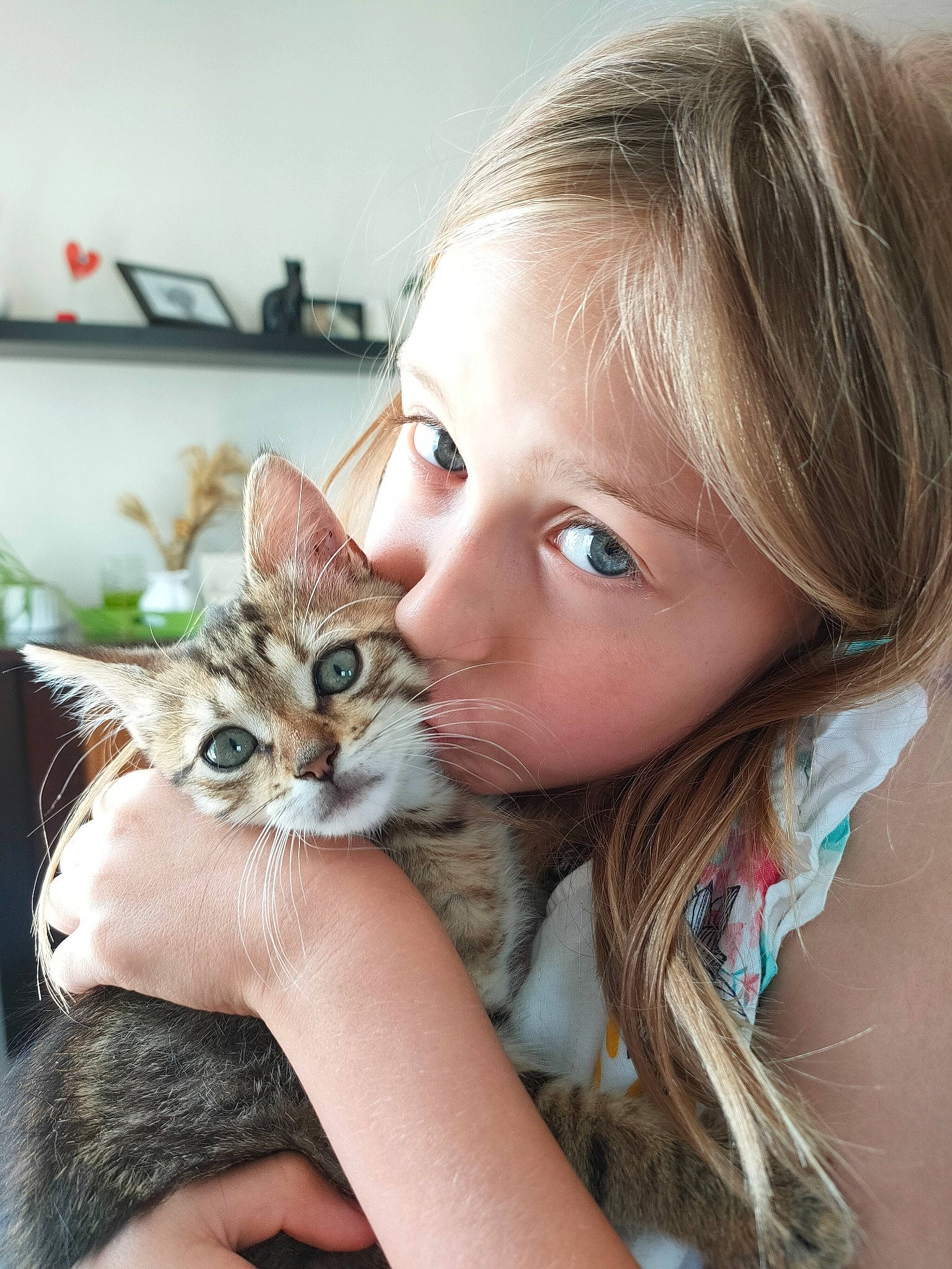 Sushi a rejoint le concours — aidez-le/la à gagner de superbes lots ! blond, brown_hair, carnivore, cat, domestic_short_haired_cat, ear, eyebrow, eyelash, fawn, felidae, fur, gesture, happy, iris, long_hair, nail, plant, skin, small_to_medium_sized_cats, whiskers