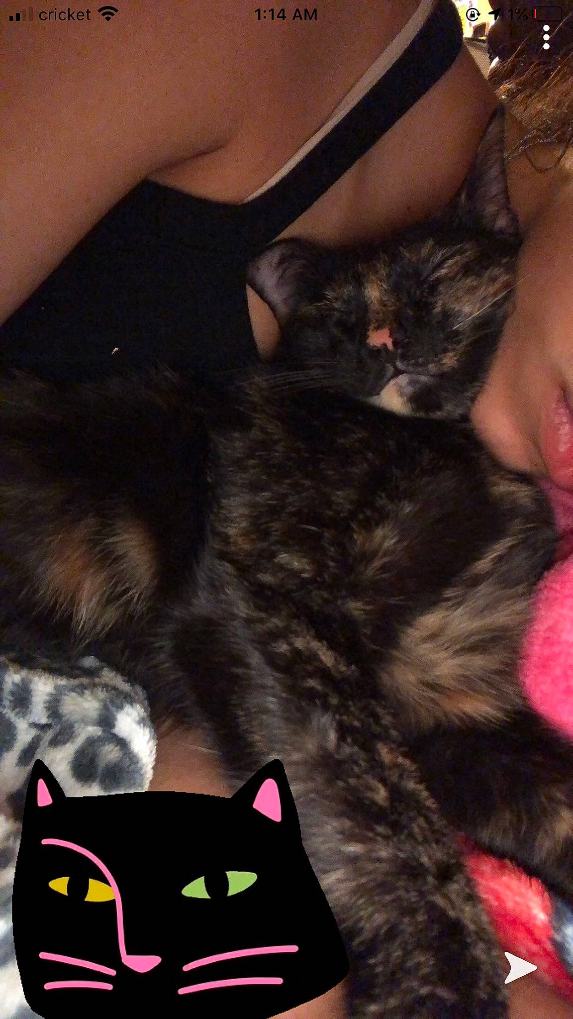 Pepper is registered to the contest to win money with this photo: black, carnivore, cat, comfort, elbow, felidae, fur, gesture, human_leg, lap, mammal, nail, pink, small_to_medium_sized_cats, snapshot, tail, thigh, vertebrate, whiskers, white