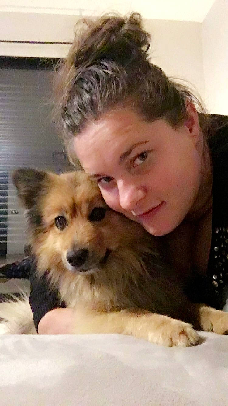 Volt participe au concours pour gagner de l'argent avec cette photo : canidae, carnivore, companion_dog, dog, dog_breed, fur, mammal, morkie, norwich_terrier, pomeranian, puppy, puppy_love, rare_breed_dog, skin, snout, vertebrate