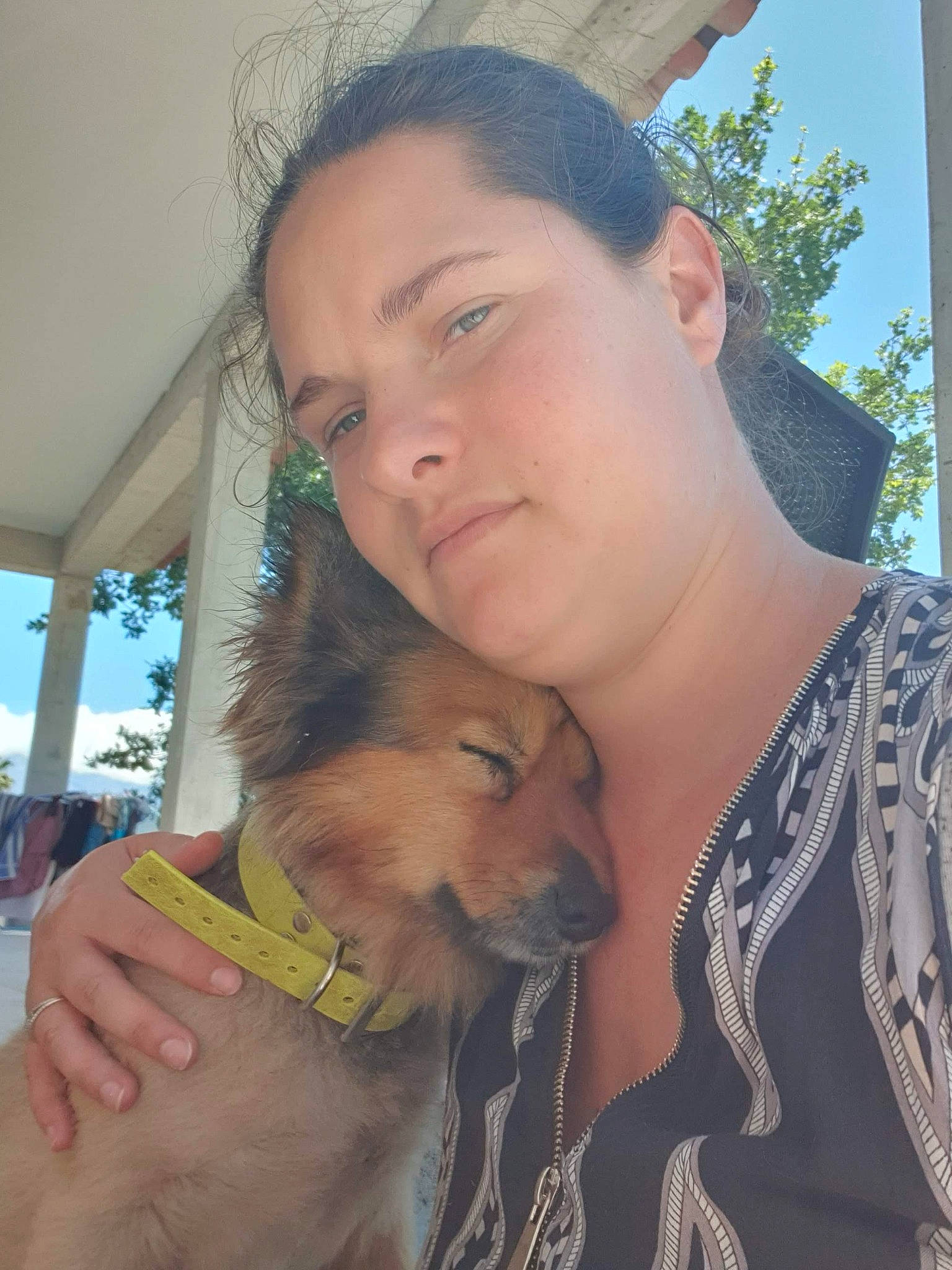 Volt participe au concours pour gagner de l'argent avec cette photo : canidae, carnivore, companion_dog, dog, dog_breed, ear, fawn, forehead, nose, pomeranian