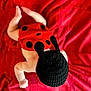 Arthur is registered to the contest to win money with this photo: baby, infant, red_blanket, ladybug_costume, knitted_hat, black_antennae, crawling, cute, soft_focus, legs, arms, skin, texture, pattern, red, black, child, costume, lying_down, top_view