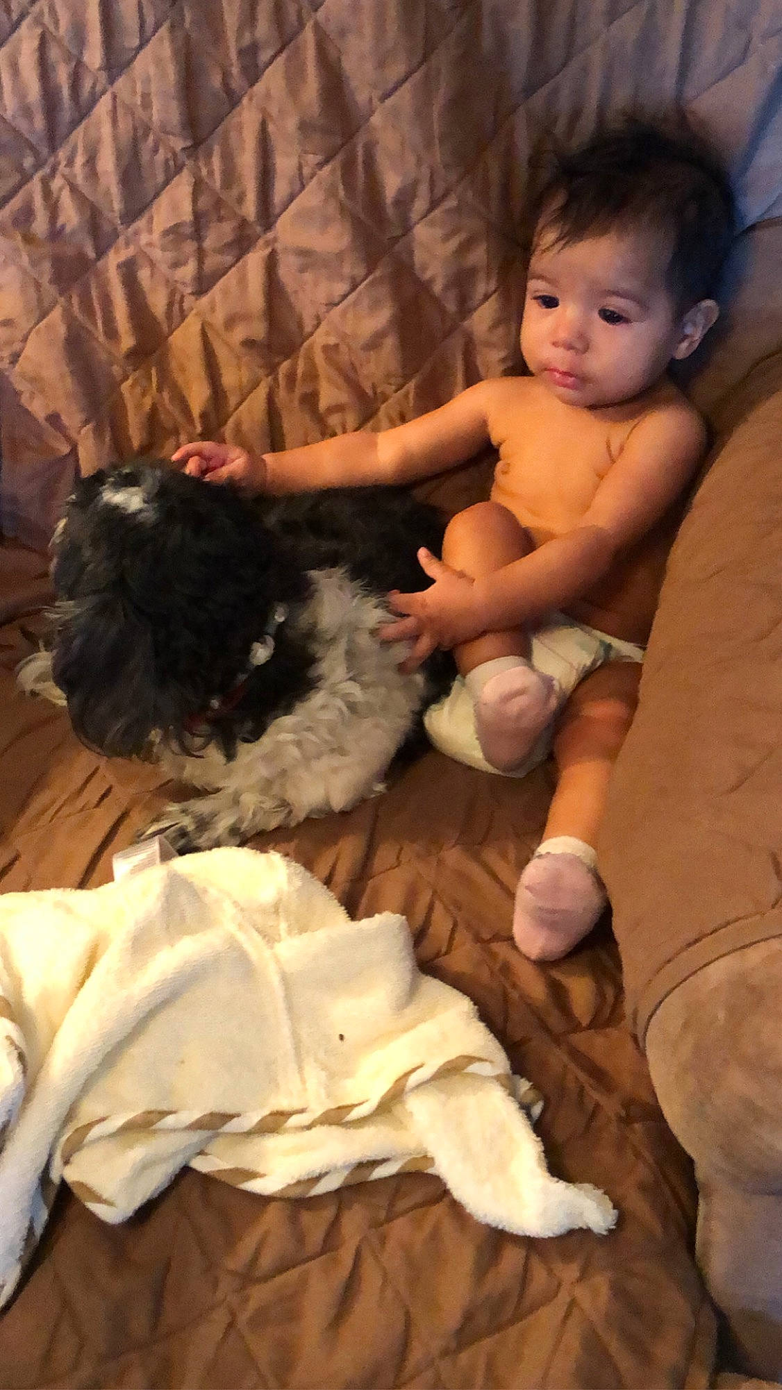 Miyah joined the competition — help win amazing prizes! canidae, child, fawn, fur, long_hair, person, toddler