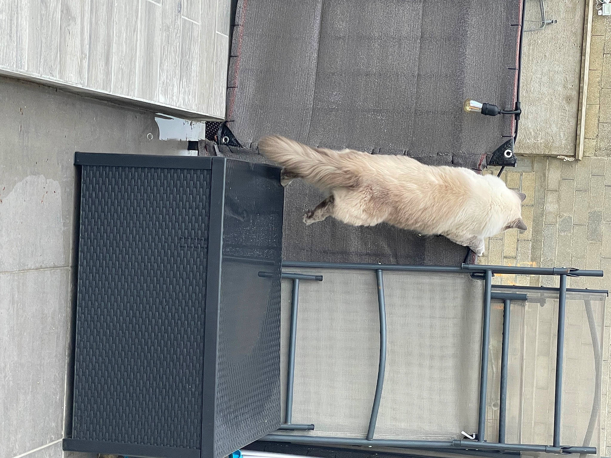 Mickey a rejoint le concours — aidez-le/la à gagner de superbes lots ! aluminium, animal_shelter, audio_equipment, building, building_material, composite_material, concrete, door, facade, fur, gas, grey, material_property, metal, wood