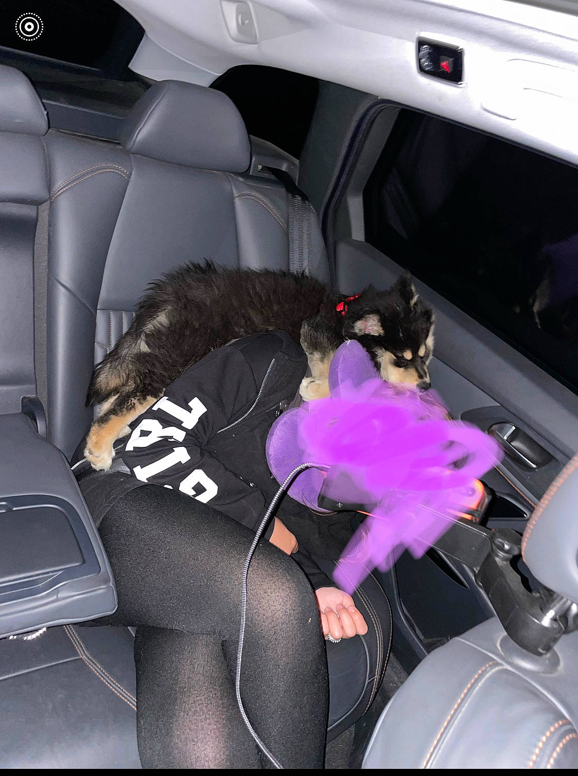 Titi a rejoint le concours — aidez-le/la à gagner de superbes lots ! auto_part, automotive_design, automotive_exterior, car, car_seat, car_seat_cover, center_console, family_car, head_restraint, hood, luxury_vehicle, mode_of_transport, motor_vehicle, personal_luxury_car, steering_part, steering_wheel, vehicle, vehicle_door, window, windshield