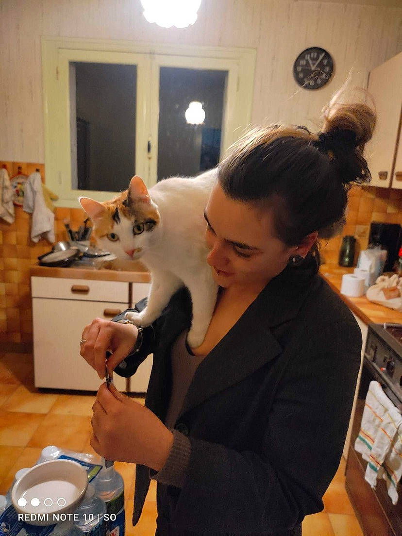 Soy a rejoint le concours — aidez-le/la à gagner de superbes lots ! box, carnivore, cat, cooking, door, felidae, flooring, fur, hardwood, home_appliance, homemaker, kitchen, kitchen_appliance, major_appliance, picture_frame, room, service, small_to_medium_sized_cats, whiskers, wood