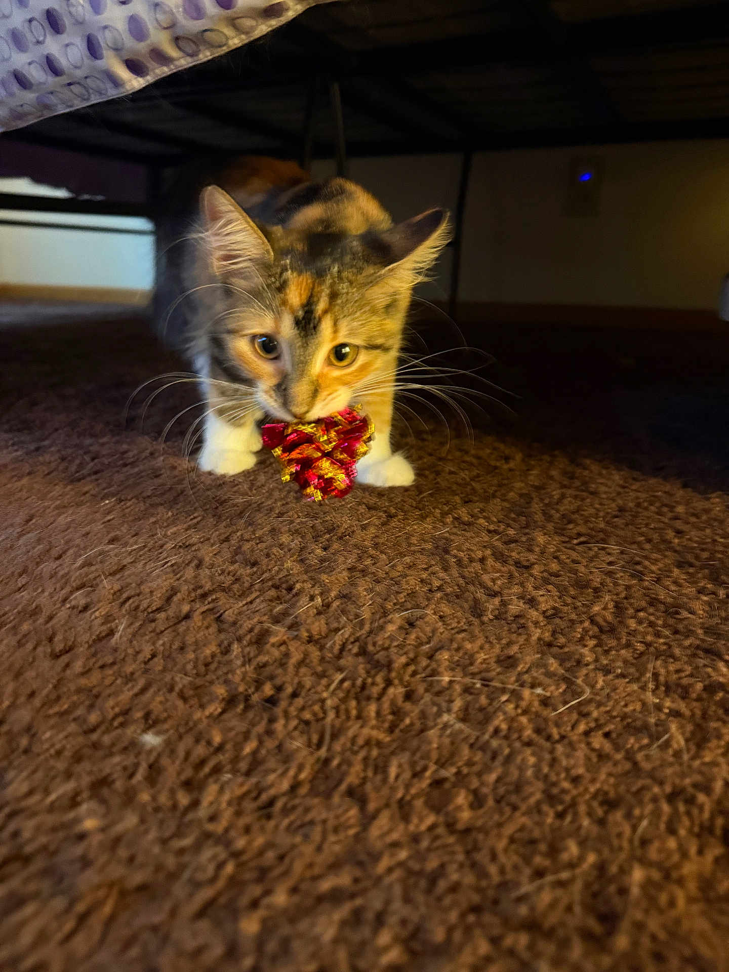 Twix