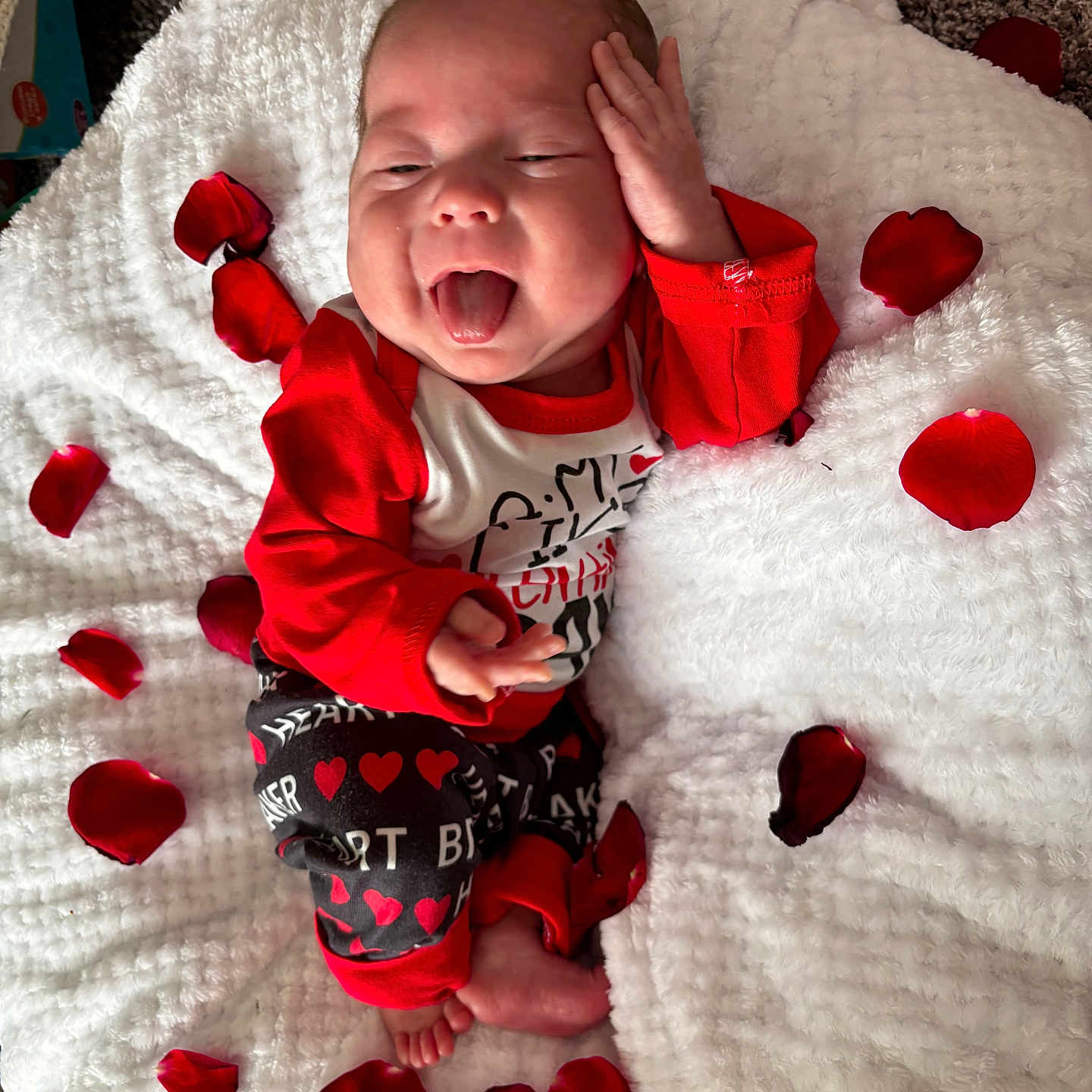 Miles joined the competition — help win amazing prizes! baby, bed, blanket, bodypart, face, finger, flower, hand, head, nature, newborn, outdoors, person, petal, photography, plant, portrait, snow, snowman, winter