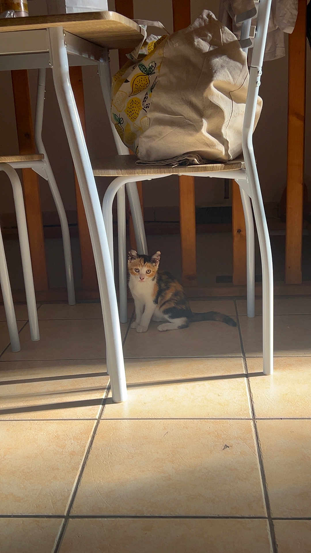 Hinata