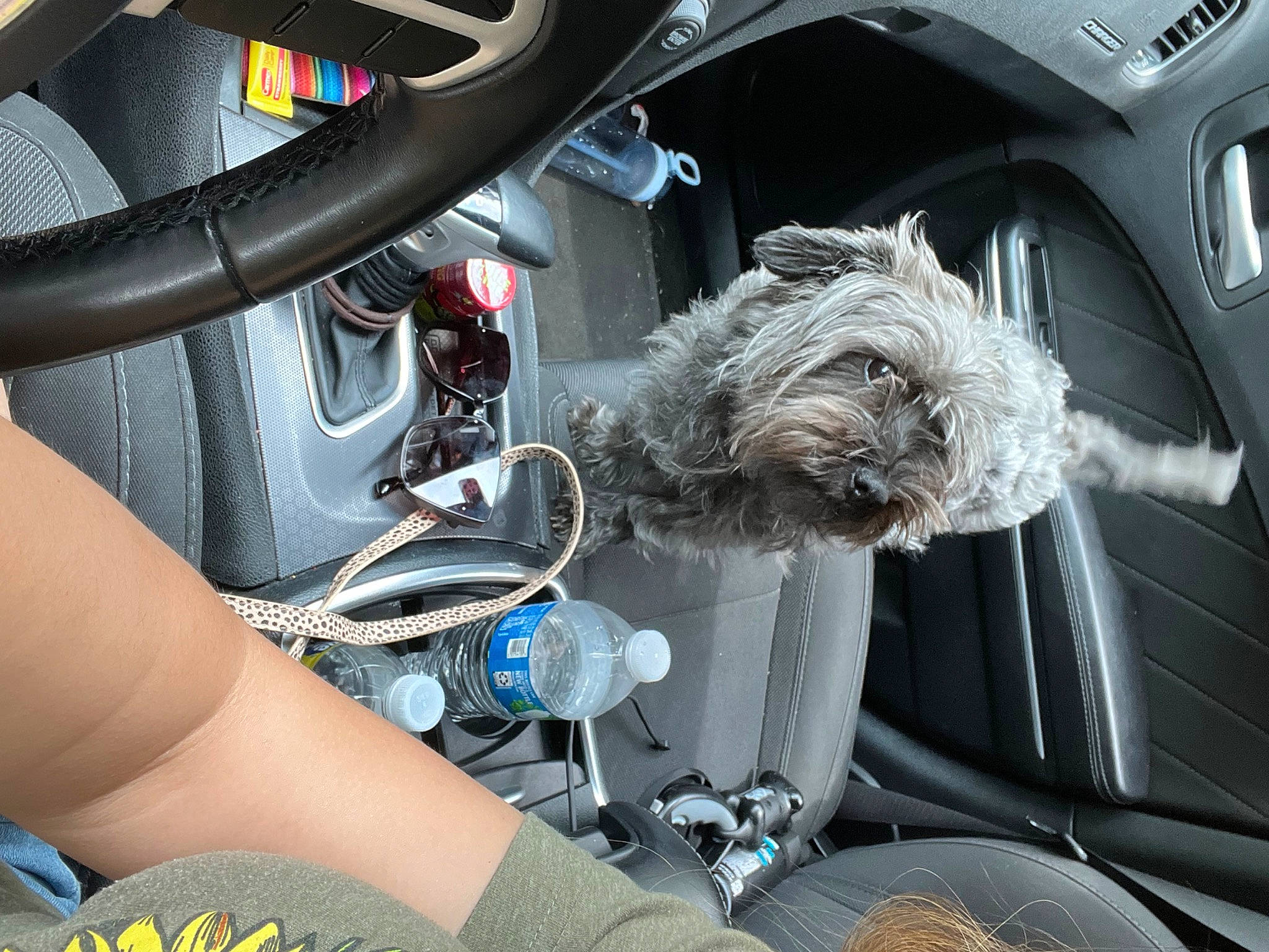 Princess is registered to the contest to win money with this photo: auto_part, automotive_design, automotive_exterior, automotive_lighting, automotive_tire, automotive_wheel_system, car, car_seat, car_seat_cover, center_console, gear_shift, hood, mode_of_transport, motor_vehicle, personal_luxury_car, service, steering_part, steering_wheel, vehicle, vehicle_door