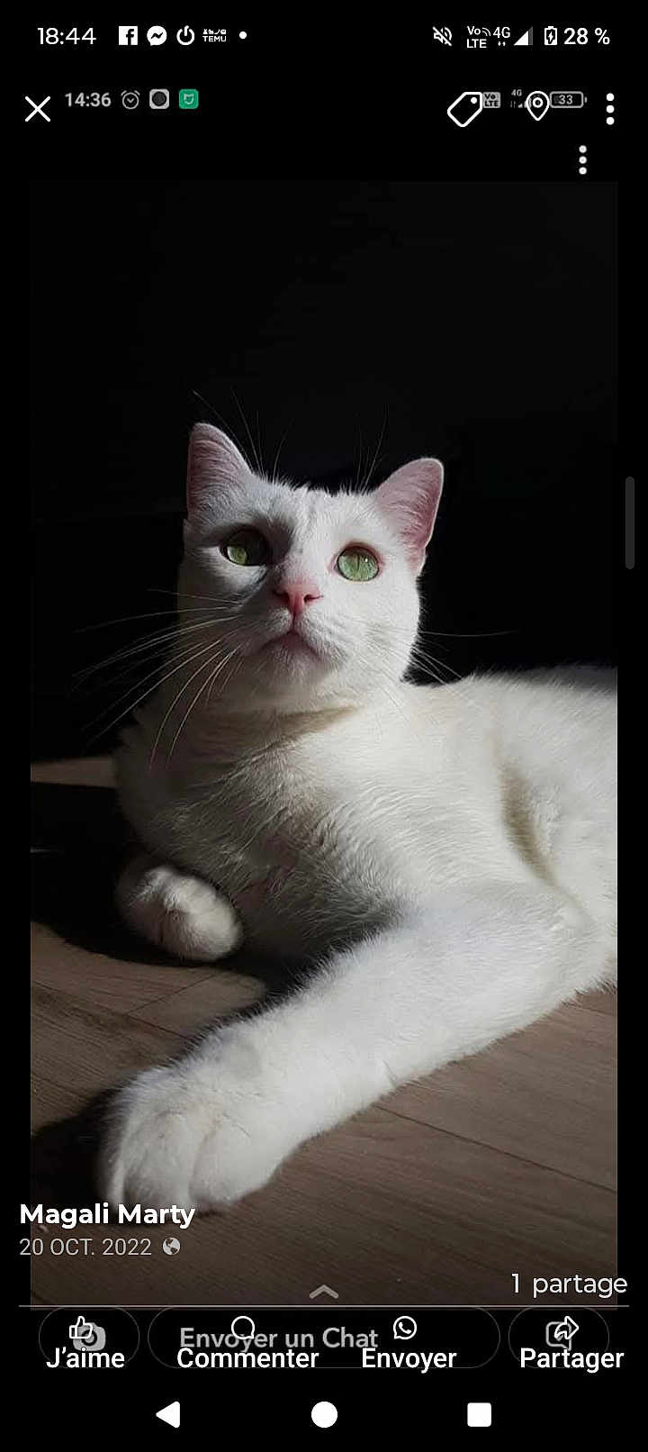 Olaf