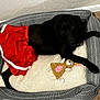 dog, black_dog, dog_bed, red_skirt, plush_toy, mouse_toy, carpet, indoor, pet, animal, resting, looking_up, cozy, patterned_bed, fabric, furry, cute, domestic_animal, holiday_outfit, relaxed