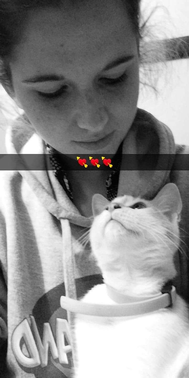 Nala a rejoint le concours — aidez-le/la à gagner de superbes lots ! beauty, black, black_and_white, carnivore, cat, eyelash, facial_expression, felidae, flash_photography, gesture, happy, jaw, monochrome, monochrome_photography, organ, photograph, small_to_medium_sized_cats, style, t_shirt, white