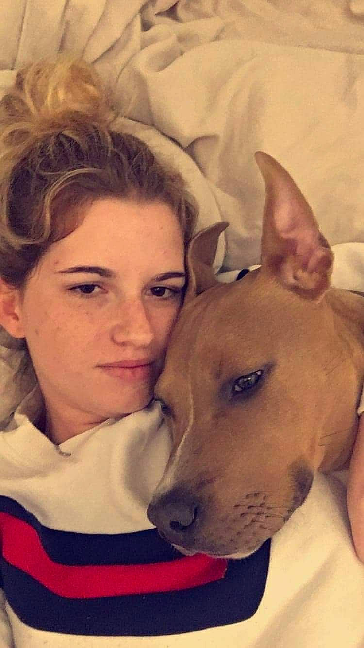 Payton a rejoint le concours — aidez-le/la à gagner de superbes lots ! carnivore, comfort, companion_dog, dog, dog_breed, ear, eye, eyebrow, eyelash, fawn, happy, human_body, jaw, neck, nose, selfie, skin, snout, whiskers, working_animal