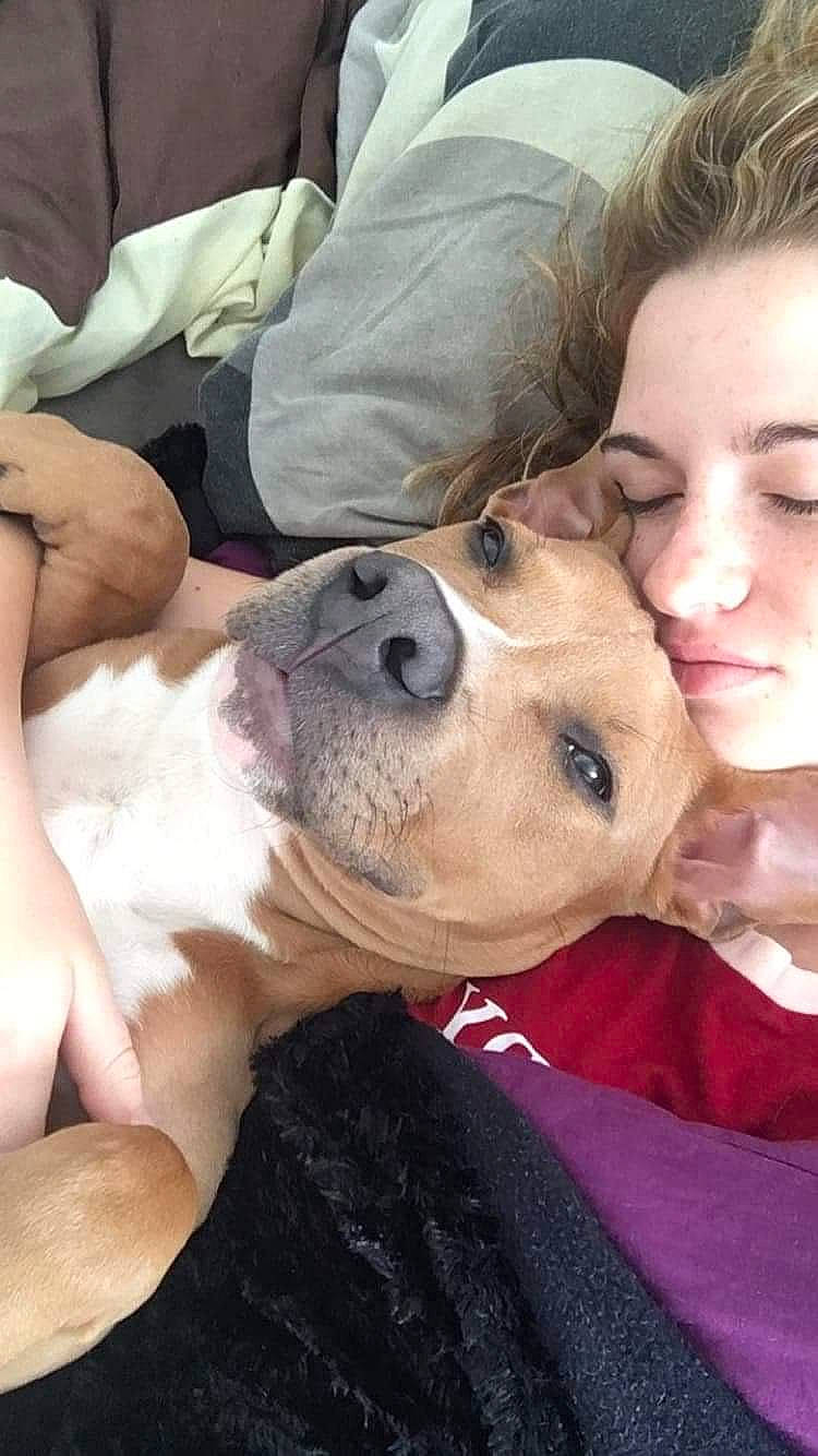 Payton participe au concours pour gagner de l'argent avec cette photo : canidae, carnivore, comfort, companion_dog, dog, dog_breed, ear, fawn, fur, gesture, happy, kiss, nose, puppy_love, selfie, snout, sporting_group, sunglasses, vertebrate, whiskers