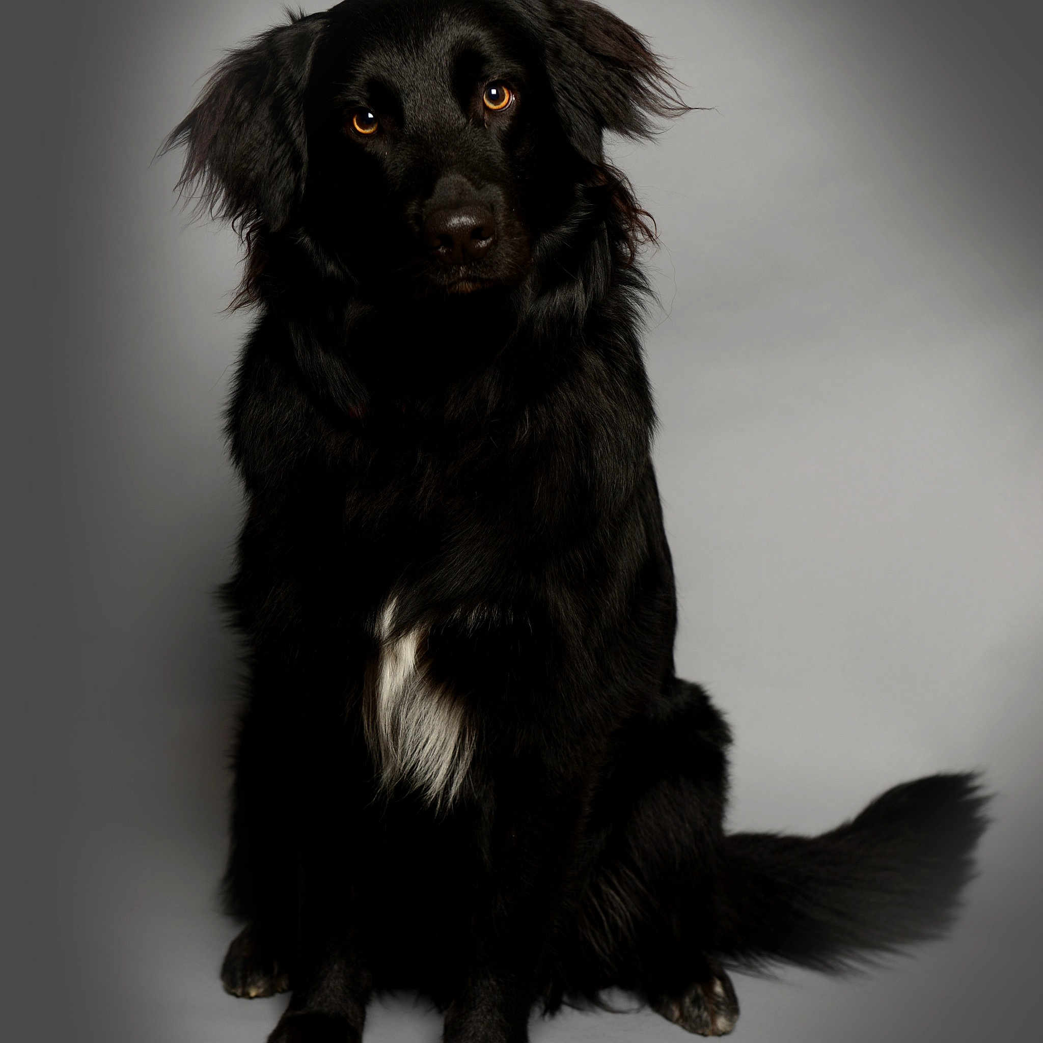 Odin