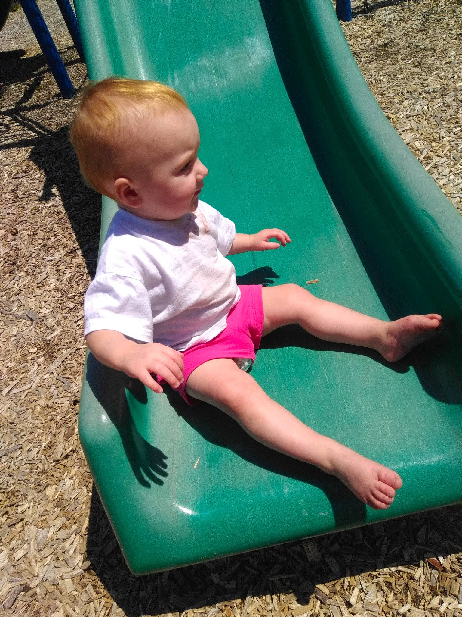 Skyler joined the competition — help win amazing prizes! child, chute, fun, grass, green, leisure, outdoor_play_equipment, person, play, playground, playground_slide, public_space, recreation, sitting, summer, toddler, vacation