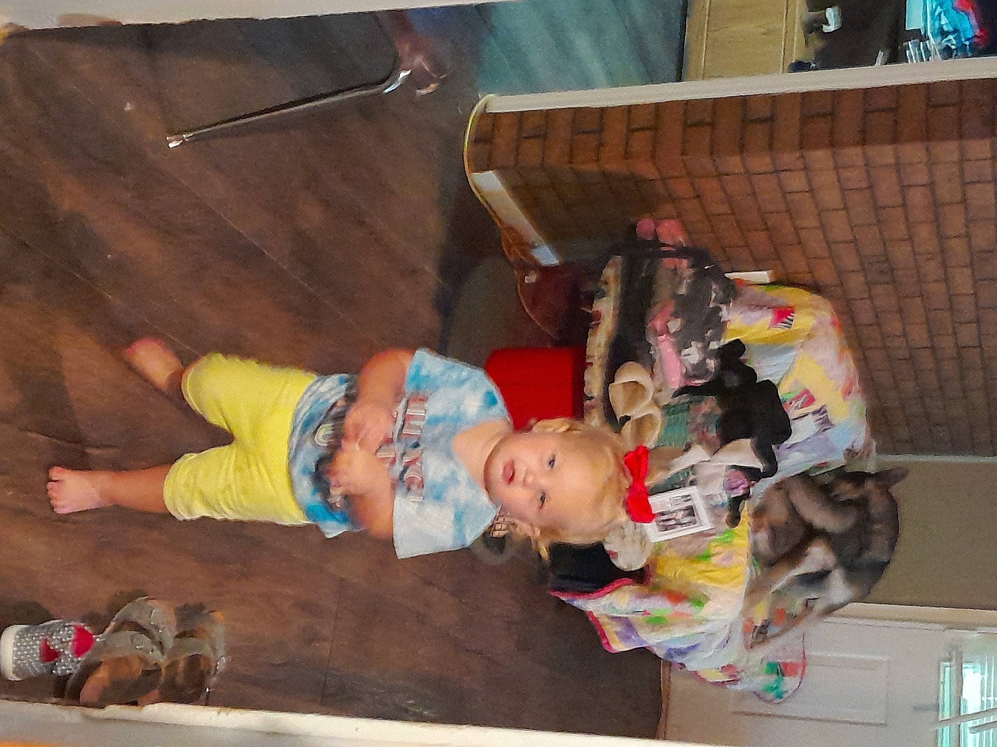 Navie is registered to the contest to win money with this photo: baby, baby_products, baby_toddler_clothing, baby_toys, child, flooring, fun, hardwood, leisure, person, play, room, toddler, toy, wood