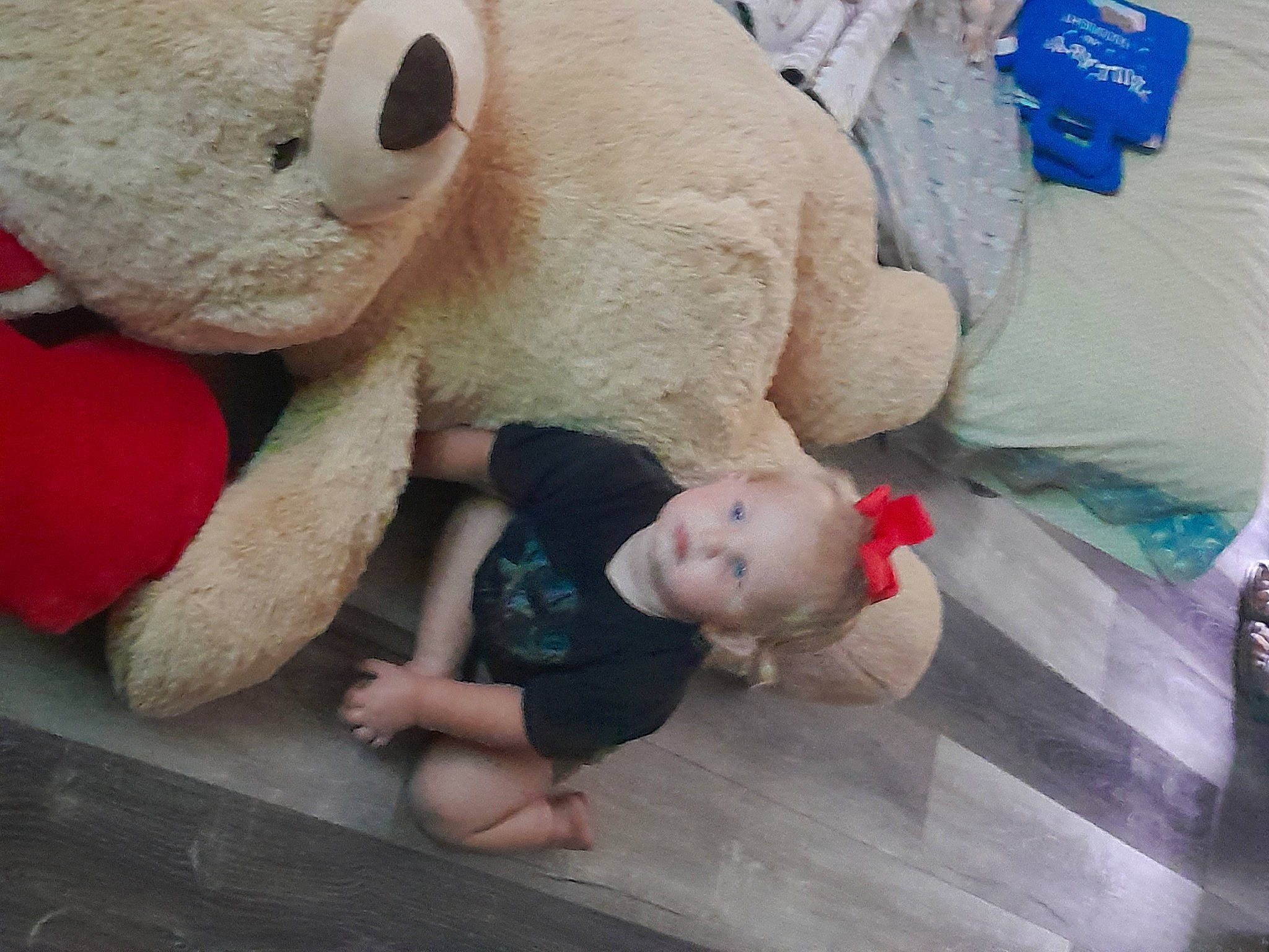 Navie is registered to the contest to win money with this photo: baby, baby_sleeping, baby_toddler_clothing, baby_toys, child, comfort, flooring, fun, fur, head, linens, nose, person, plush, room, skin, stuffed_toy, teddy_bear, toddler, toy