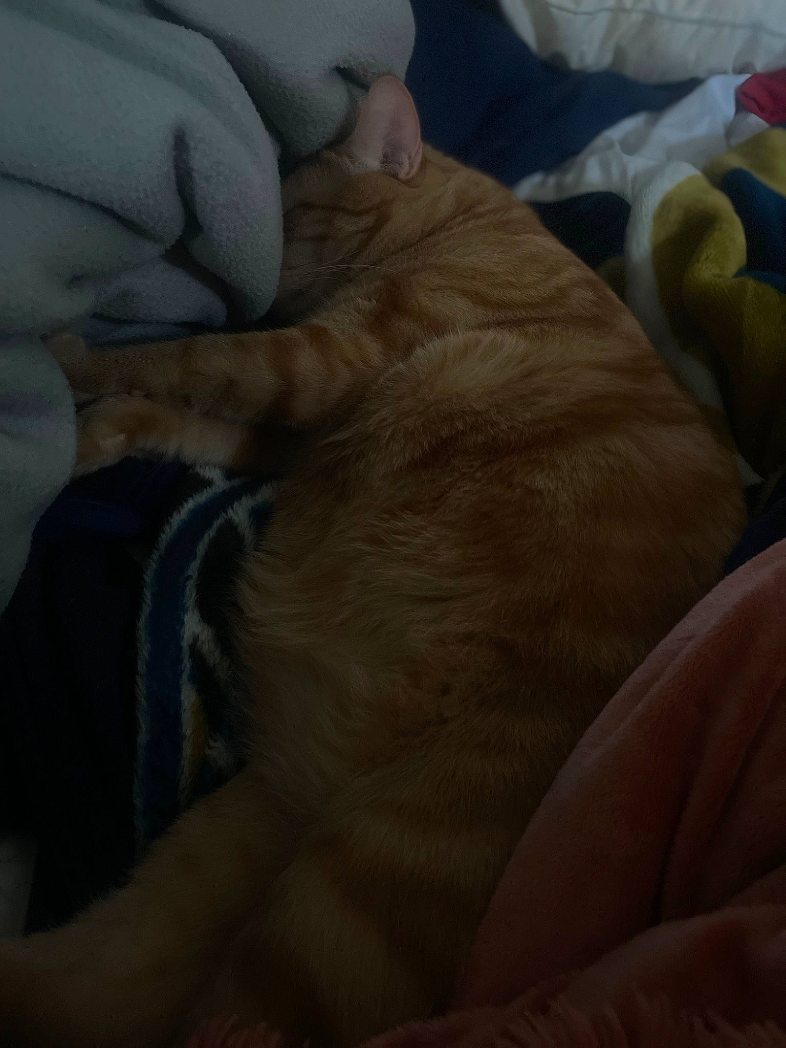 Ajax joined the competition — help win amazing prizes! barefoot, comfort, finger, flesh, foot, fur, gesture, human_leg, knee, leg, linens, nail, room, sole, thigh, thumb, toe, wood, wrinkle, wrist