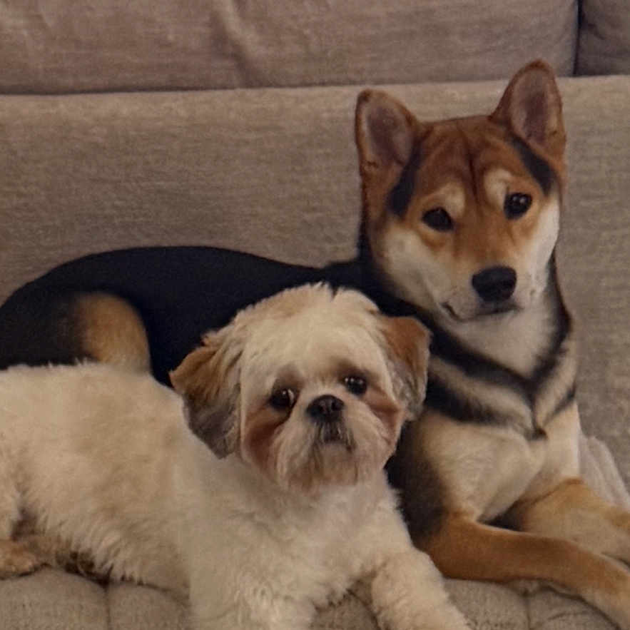 Ace And Cocoa