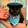 animal, birthday_bandana, birthday_hat, black_cat, casual_clothing, celebration, closeup, cute, domestic_cat, feline, festive, green_tshirt, hand, holding, indoor, orange_nail_polish, person, pet, portrait, window