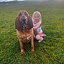 Daisy joined the competition — help win amazing prizes! dog, toddler, child, grass, field, outdoor, sky, clouds, tree, sunlight, pet, animal, young_child, playing, summer, nature, happy, friendship, cuddle, casual