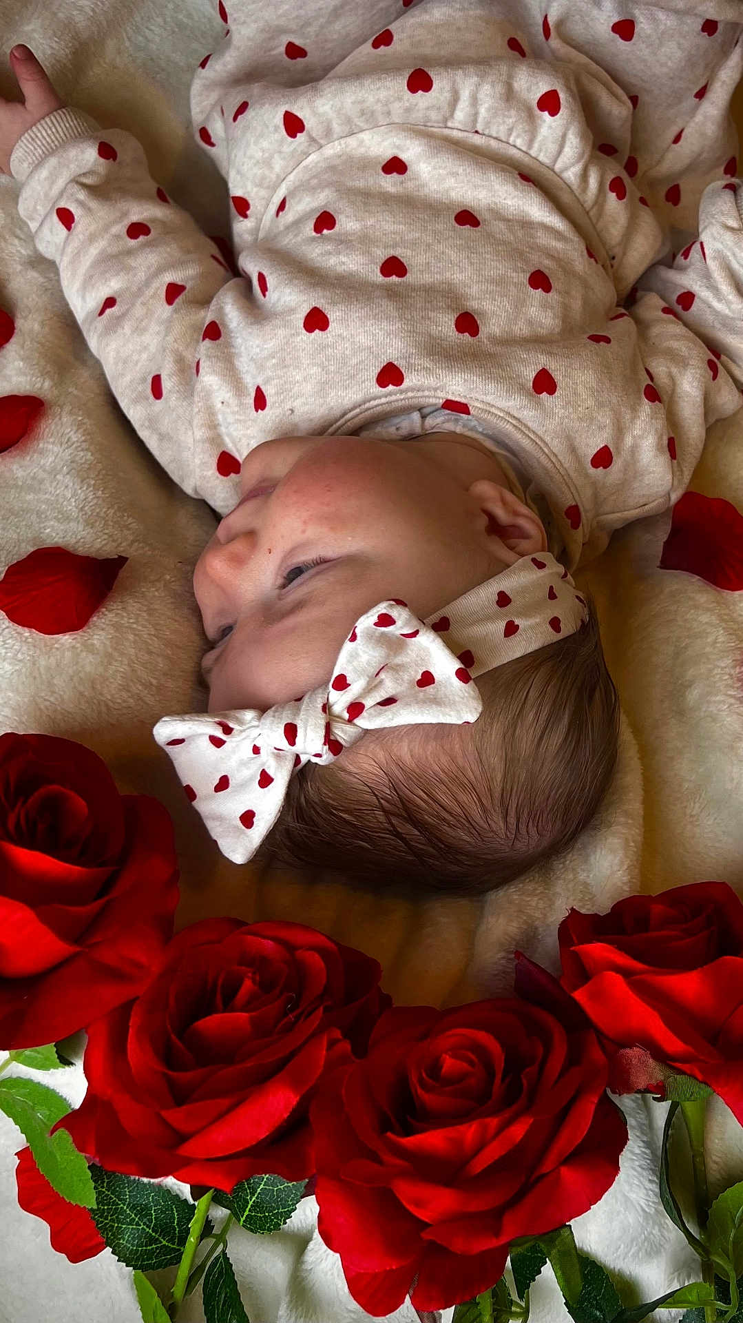 Kaylie a rejoint le concours — aidez-le/la à gagner de superbes lots ! baby, infant, headband, bow, heart_pattern, onesie, blanket, red_roses, roses, flower_petals, lying_down, resting, closeup, portrait, soft_texture, fabric, newborn, adorable, love_theme, gazing