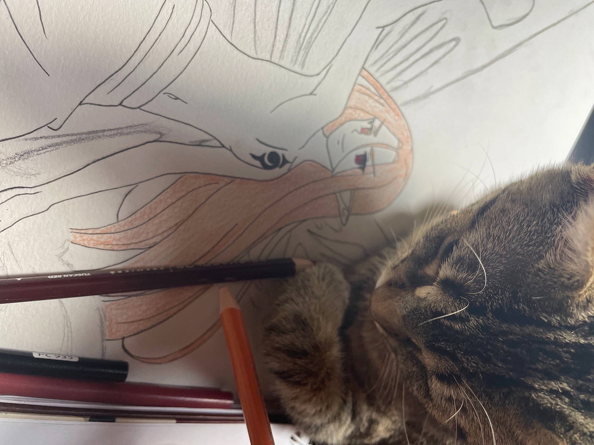 Lina is registered to the contest to win money with this photo: art, carnivore, cat, comfort, domestic_short_haired_cat, drawing, felidae, fur, gesture, grey, illustration, iris, nose, paw, small_to_medium_sized_cats, snout, tail, visual_arts, whiskers, wood