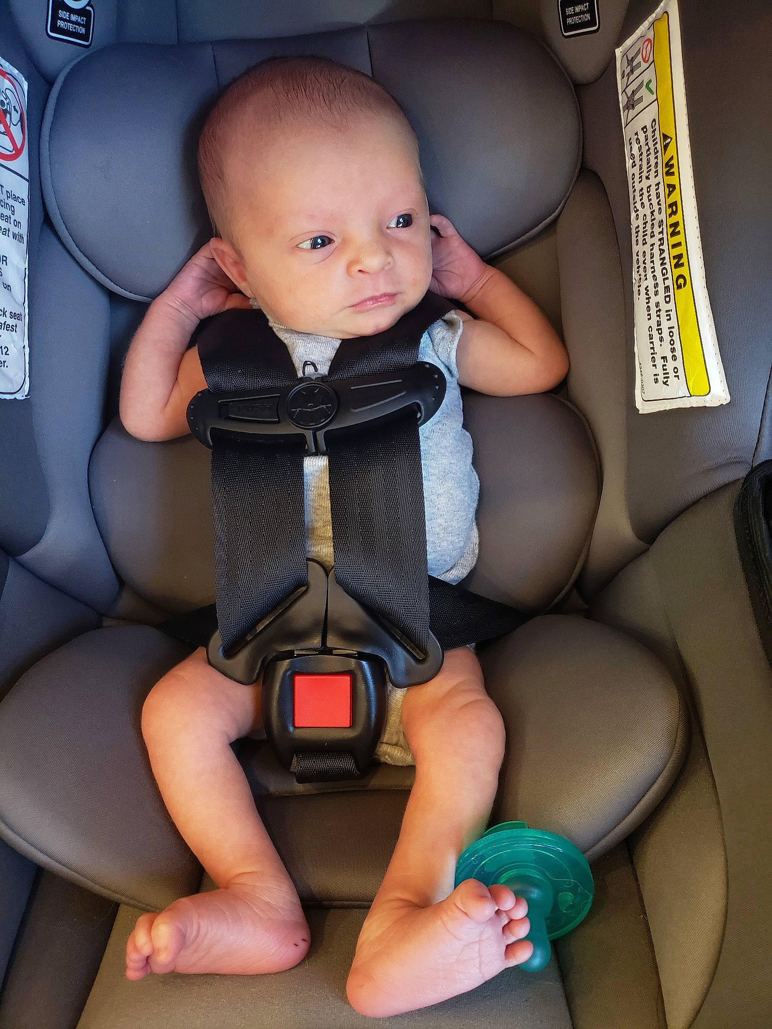 Eris joined the competition — help win amazing prizes! auto_part, baby, baby_carriage, baby_in_car_seat, baby_products, car_seat, car_seat_cover, child, neck, person, product, seat_belt, sitting, toddler