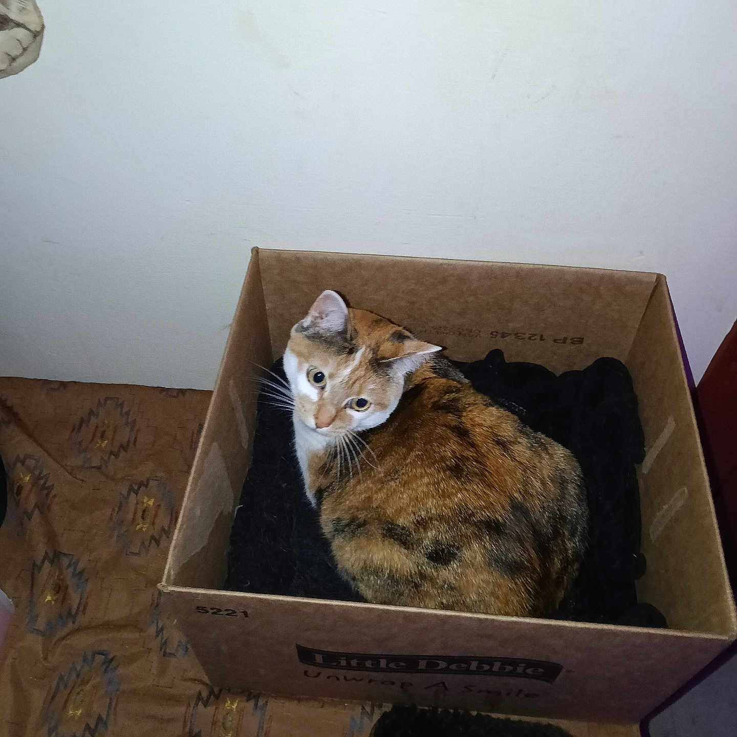 Missy