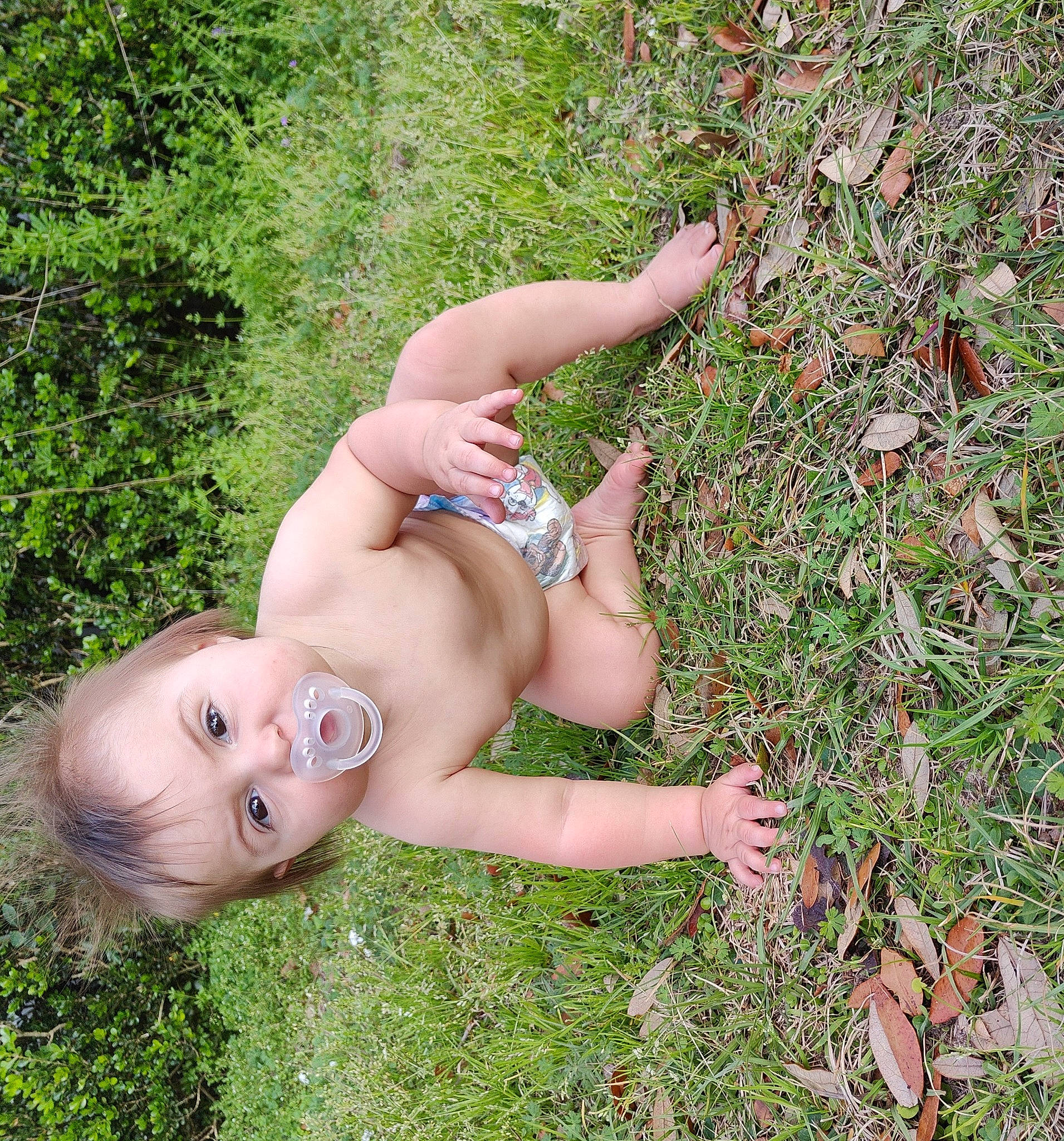 Sequoyah is registered to the contest to win money with this photo: baby, chest, finger, flowering_plant, fun, grass, groundcover, hand, happy, human_body, human_leg, leisure, meadow, people_in_nature, person, plant, sitting, thigh, thumb, toddler
