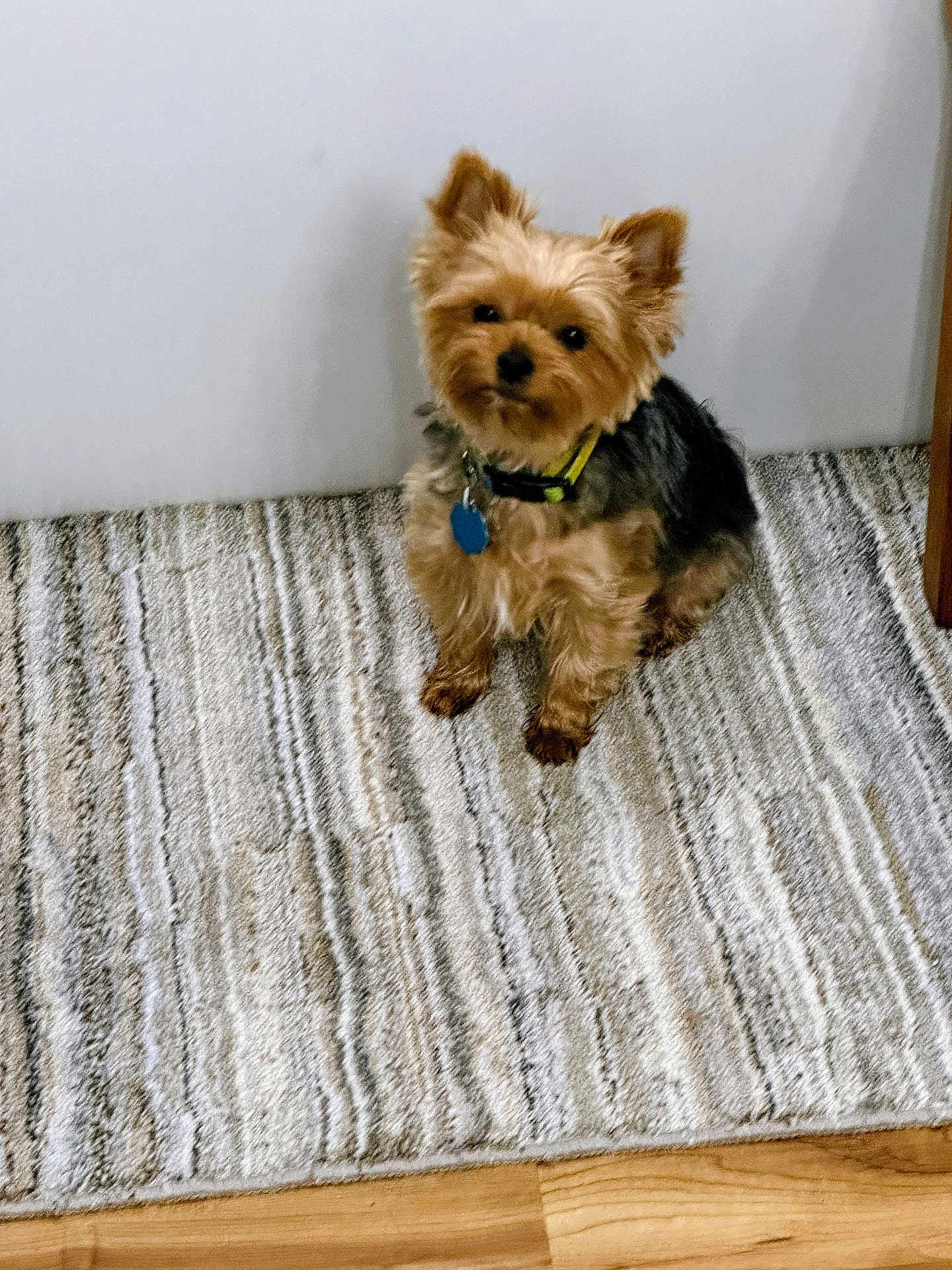 Astro