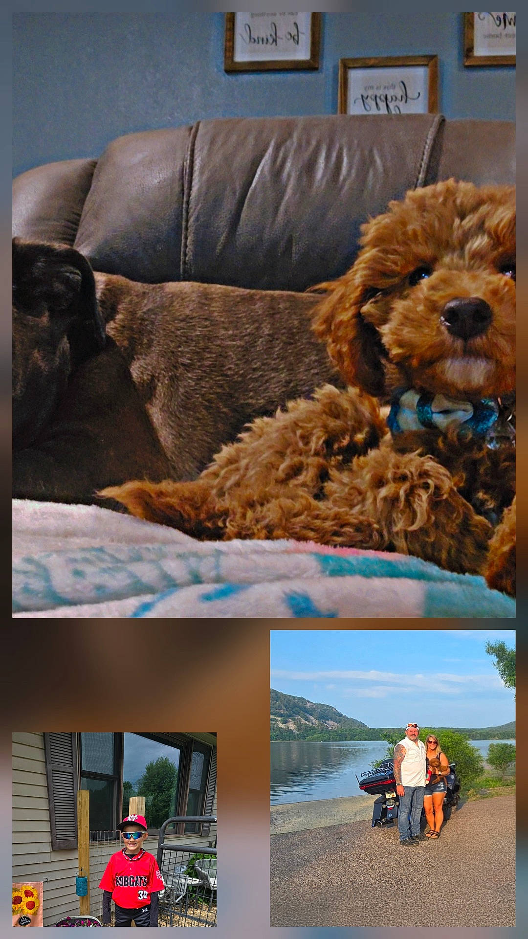 Clutch is registered to the contest to win money with this photo: adult, baseball_uniform, black_dog, brown_dog, child, collar, couch, curly_fur, dog, indoor, lake, motorcycle, nature, outdoor, red_cap, scenic, smiling, sunglasses, tattoo, woman