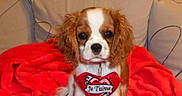 Joyce participe au concours pour gagner de l'argent avec cette photo :