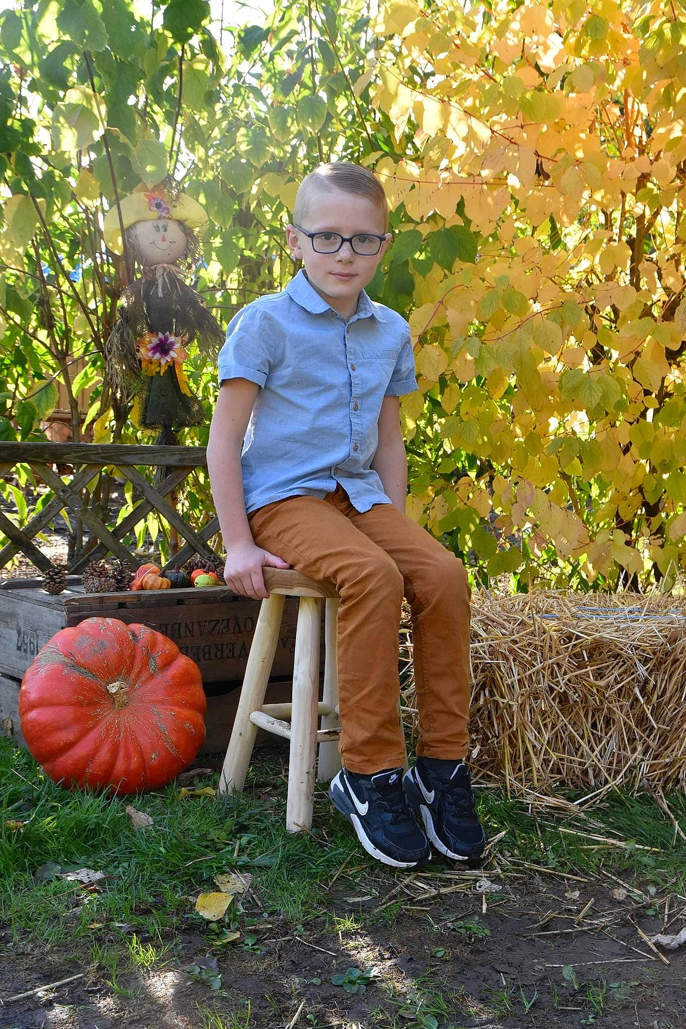 Tom a rejoint le concours — aidez-le/la à gagner de superbes lots ! autumn, backyard, denim, furniture, grass, jeans, leaf, leisure, people_in_nature, person, photo_shoot, plant, pumpkin, sitting, tree