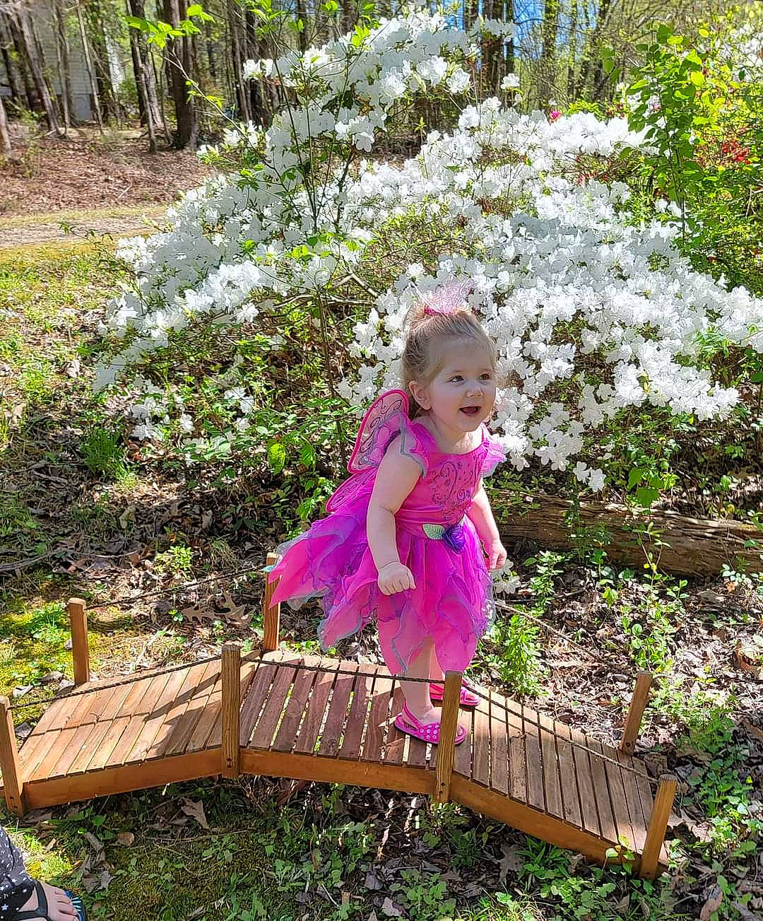Amirah joined the competition — help win amazing prizes! annual_plant, baby_toddler_clothing, botany, flower, garden, grass, groundcover, happy, leaf, leisure, magenta, people_in_nature, person, petal, pink, plant, purple, shrub, terrestrial_plant, toddler