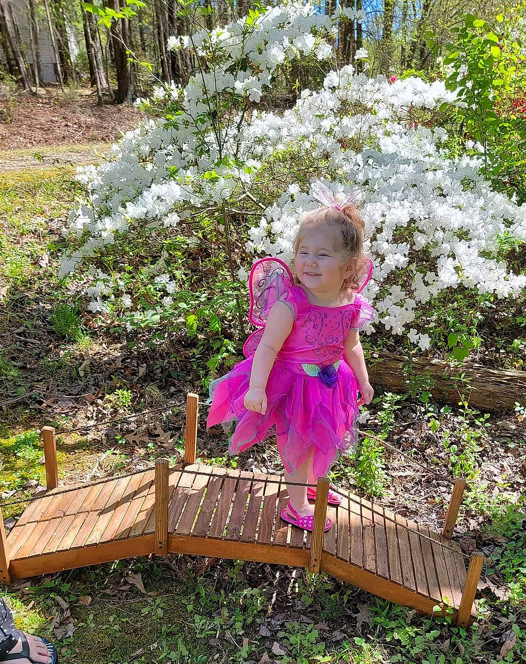 Amirah is registered to the contest to win money with this photo: annual_plant, baby_toddler_clothing, botany, flower, garden, grass, groundcover, happy, joy, leaf, leisure, magenta, people_in_nature, person, petal, pink, plant, purple, shrub, terrestrial_plant