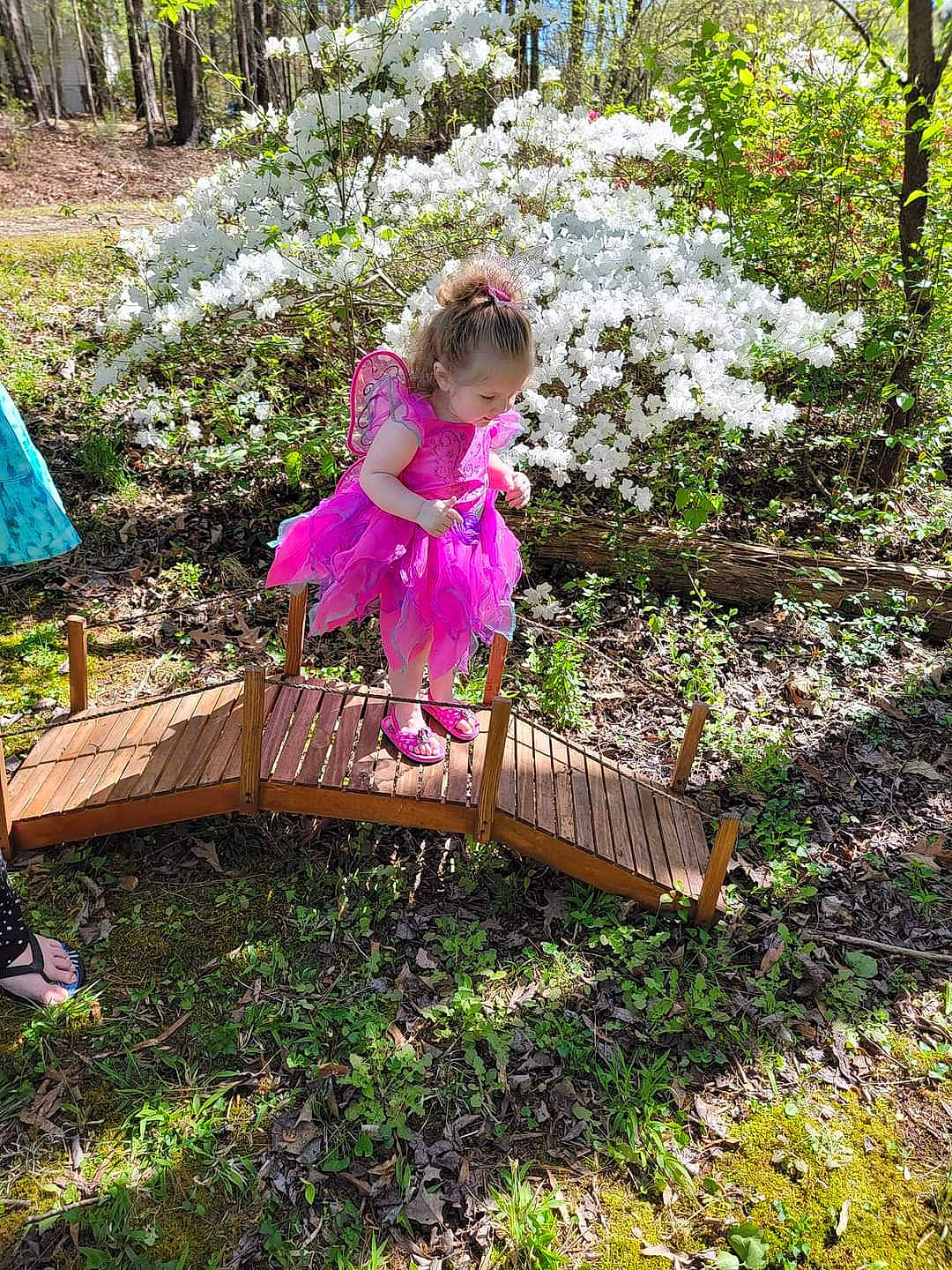 Amirah is registered to the contest to win money with this photo: baby_toddler_clothing, flower, forest, garden, grass, green, groundcover, happy, leisure, magenta, natural_landscape, people_in_nature, person, petal, plant, purple, shrub, terrestrial_plant, toddler, tree