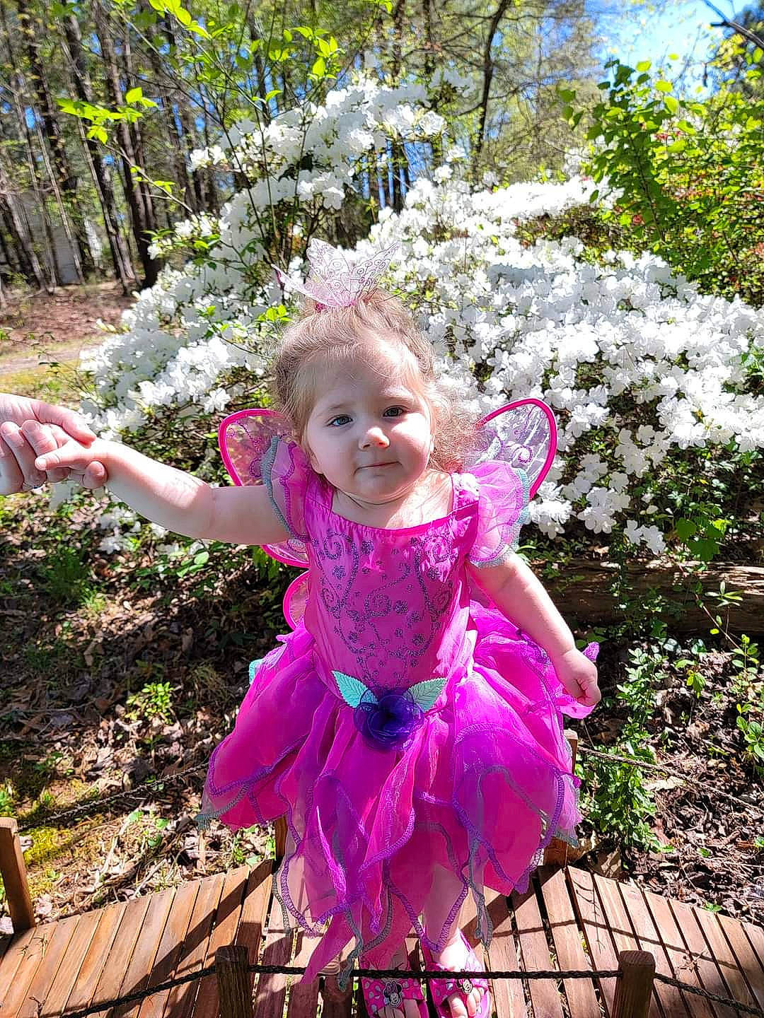 Amirah is registered to the contest to win money with this photo: baby_toddler_clothing, beauty, botany, flower, grass, happy, leaf, leisure, magenta, people_in_nature, person, petal, photograph, pink, plant, purple, smile, summer, terrestrial_plant, toddler