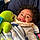 Zamir